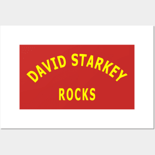 David Starkey Rocks Posters and Art